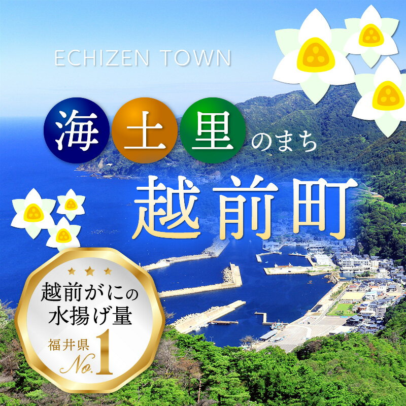 【ふるさと納税】福井県越前町の対象施設で使える楽天トラベルクーポン 寄付額25,000円 サムネイル2
