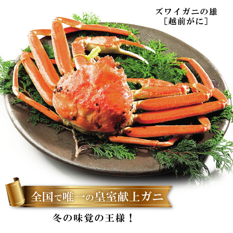 【ふるさと納税】福井県越前町の対象施設で使える楽天トラベルクーポン 寄付額25,000円 サムネイル3