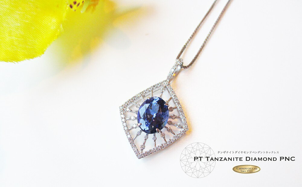 【ふるさと納税】 ジュエリー ネックレス ダイヤモンド タンザナイト ペンダント プラチナ アクセサリー 宝石 プレゼント レディース ギフト 女性 クリスマス ホワイトデー 母の日 4月 12月 誕生石 誕生日 記念日 山梨 【宝石鑑別書・品質保証書付き】 MJ824 サムネイル2