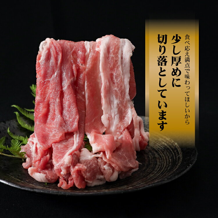 【ふるさと納税】【9/1申し込みより冷凍発送】　＜豚肉＞切り落としと挽肉のガッツリ盛りセット 4kg ブランド豚「富士湧水ポーク」｜訳あり 豚肉 豚 肉 送料無料 不揃い 規格外 国産 増量 詰め合わせ 小分け ひき肉 真空 パック　ハンバーグ や 生姜焼き にも サムネイル3