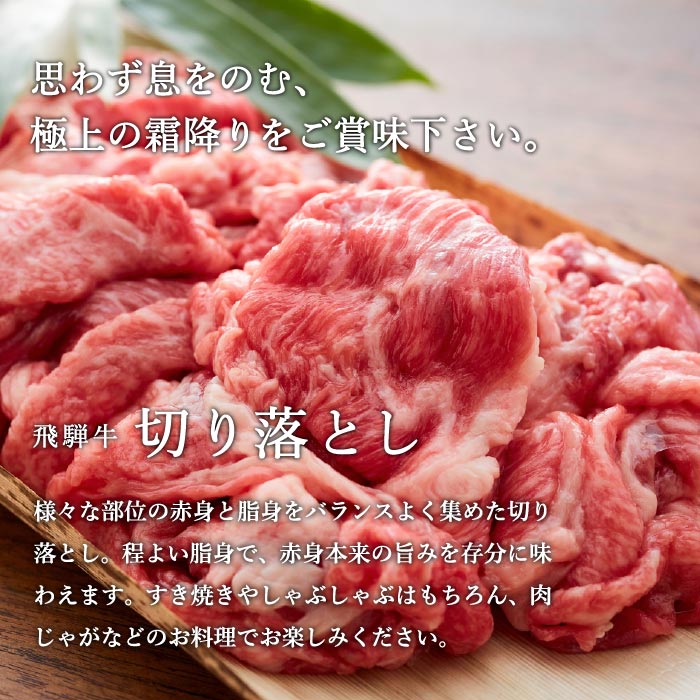 【ふるさと納税】飛騨牛 すき焼き肉 牛肉 すき焼き用 しゃぶしゃぶ 特選飛騨牛 切り落とし 700g 【4等級以上・鮮度の高い冷蔵配送】 4人 5人 6人 肉じゃが ビーフカレー 冷凍 お取り寄せ プレゼント 国産牛 国産和牛 黒毛和牛 ブランド和牛 すきやき【11月17日受付終了】 サムネイル2