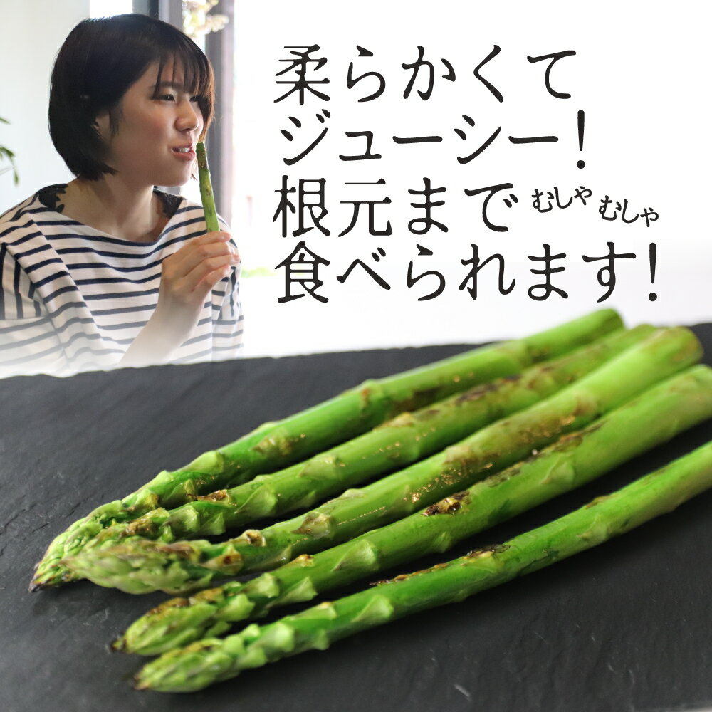 【ふるさと納税】《2026年産先行予約》《期間・数量限定》水村農園 プレミアムアスパラ 1本50g以上の極太アスパラガス 5本 10本 グリーン アスパラガス[Q543] 《hida0307》 - 画像3