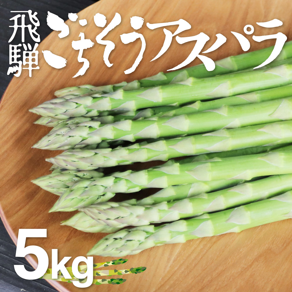 《2026年産 先行予約》根本までムシャムシャ食べれるアスパラ 水村農園 飛騨のきれいな水と澄んだ空気が育んだ柔らか甘いアスパラガス アスパラ アスパラガス L~2L 5kg 大容量 [F0035x] 56000円