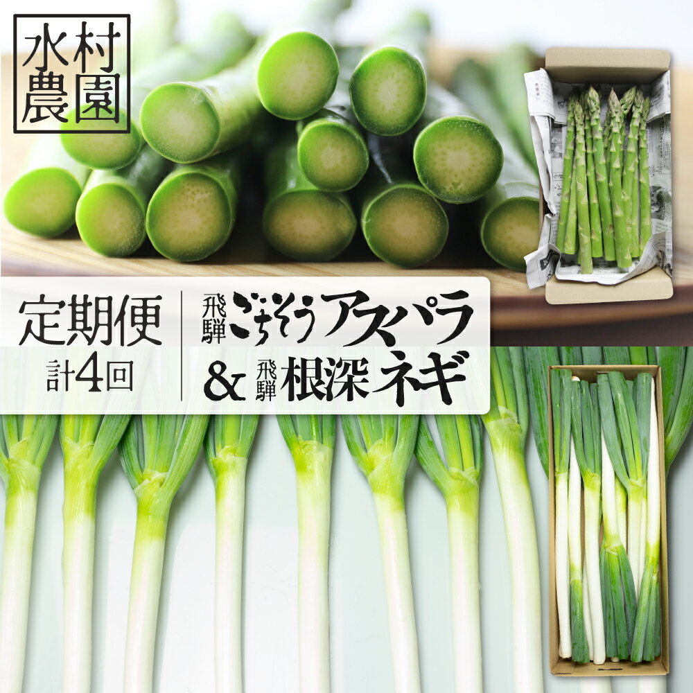 《定期便》アスパラ＆ネギ4回定期便 水村農園 飛騨産 旬の野菜 定期便 お楽しみ[Q548] 《hida0307》 どやな飛騨市