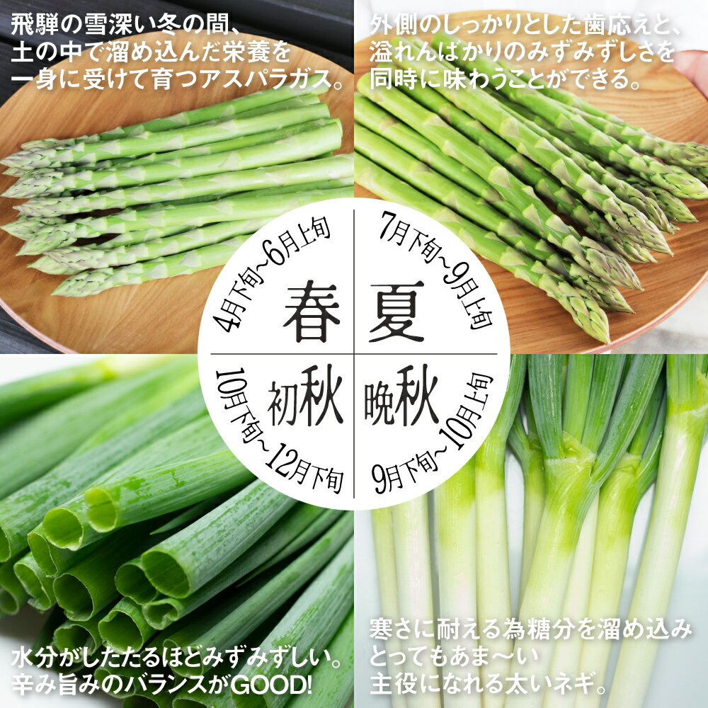 【ふるさと納税】《定期便》アスパラ＆ネギ4回定期便 水村農園 飛騨産 旬の野菜 定期便 お楽しみ[Q548] 《hida0307》 どやな飛騨市 - 画像3