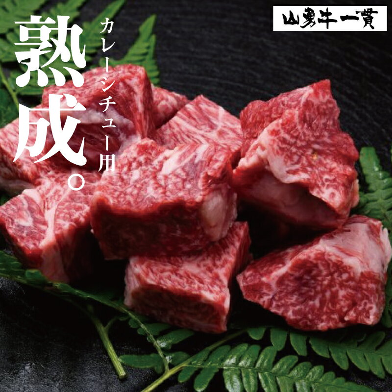 飛騨牛 『山勇牛』すね肉等 カレーシチュー用 600g 角切り牛肉　30日以上熟成/A4・A5ランク飛騨牛 熟成肉 牛肉 和牛 肉 カレー用　シチュー用　角切り　煮込み用［B0061］2万円 20000円 飛騨市