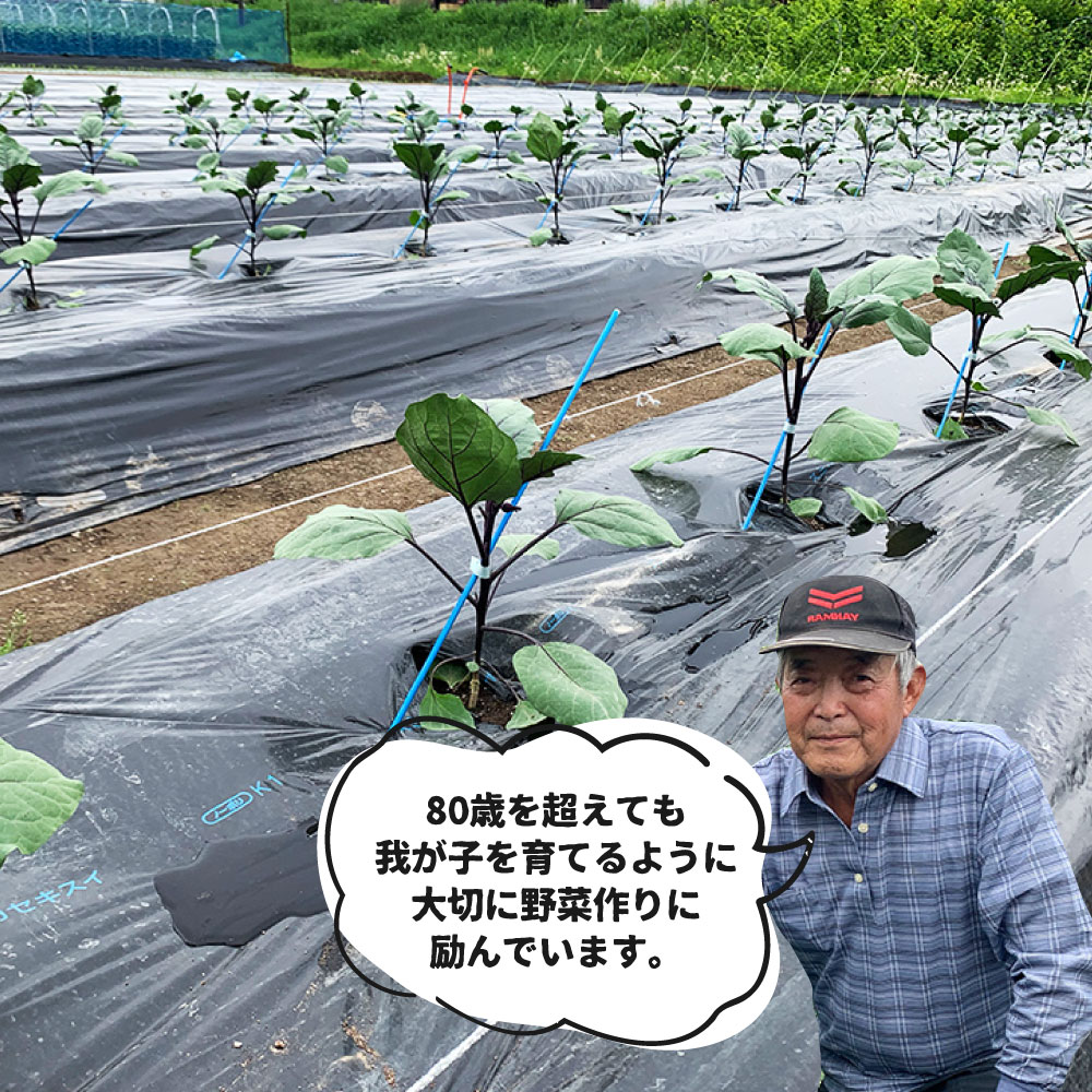 【ふるさと納税】先行予約【7月上旬〜10月中旬に発送】令和8年産 飛騨 夏秋なす 約3.5kg 茄子 ナス 大なす 産地直送 夏野菜 野菜 [Q792]8000円 8千円 10000円 1万円 - 画像2