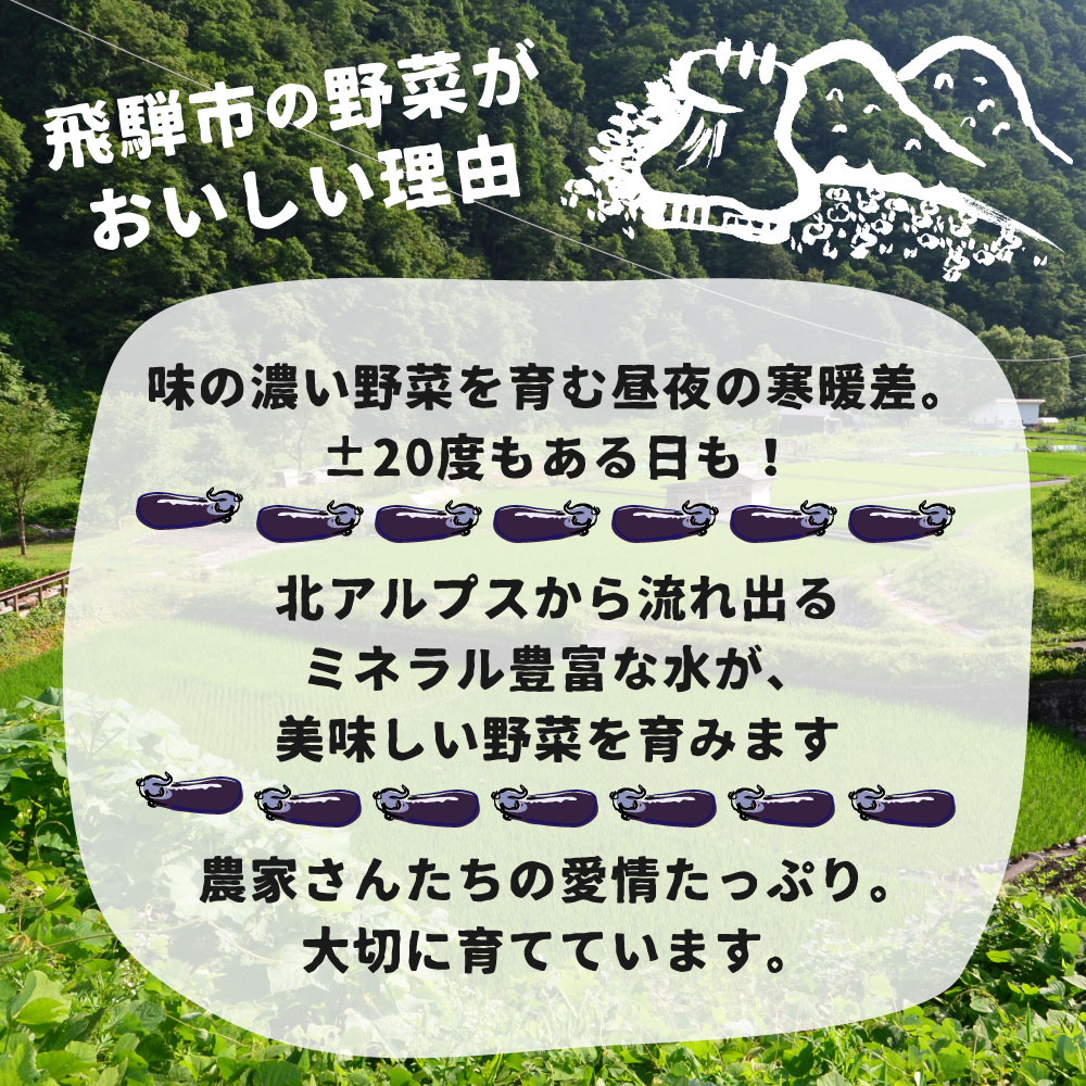 【ふるさと納税】先行予約【7月上旬〜10月中旬に発送】令和8年産 飛騨 夏秋なす 約3.5kg 茄子 ナス 大なす 産地直送 夏野菜 野菜 [Q792]8000円 8千円 10000円 1万円 - 画像3