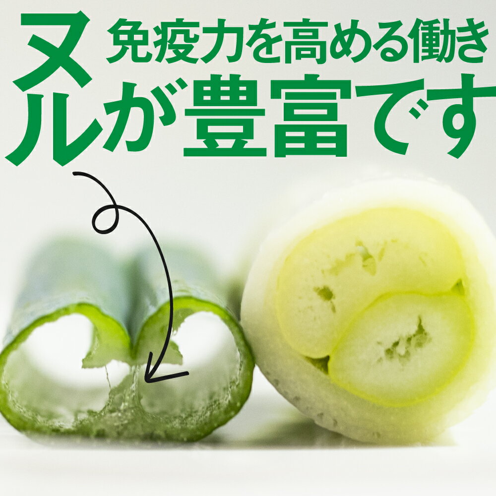 【ふるさと納税】《先行予約》ずっしり 飛騨の根深ネギ プレミアム ねぎ 5本 水村農園 飛騨産野菜 きれいな山の 水 で育つ 旬の野菜 野菜 白ねぎ ネギ 鍋 うどん そば に 産地直送 国産 飛騨市 [Q330re] 《hida0307》 - 画像3