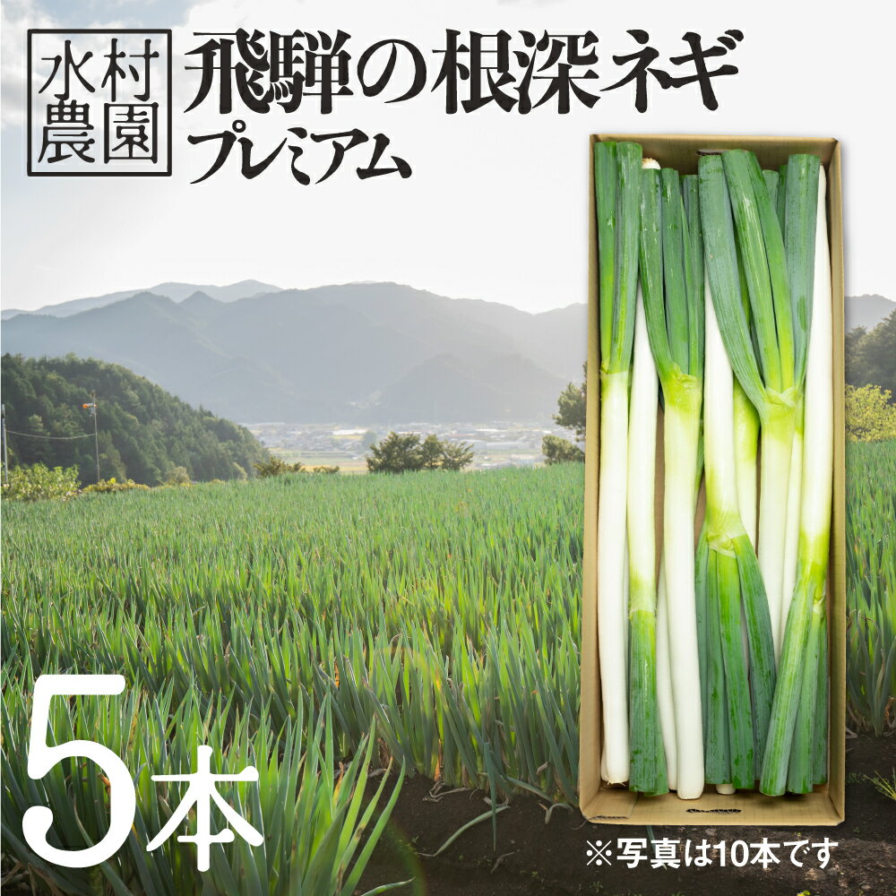 《先行予約》ずっしり 飛騨の根深ネギ プレミアム ねぎ 5本 水村農園 飛騨産野菜 きれいな山の 水 で育つ 旬の野菜 野菜 白ねぎ ネギ 鍋 うどん そば に 産地直送 国産 飛騨市 [Q330re] 《hida0307》