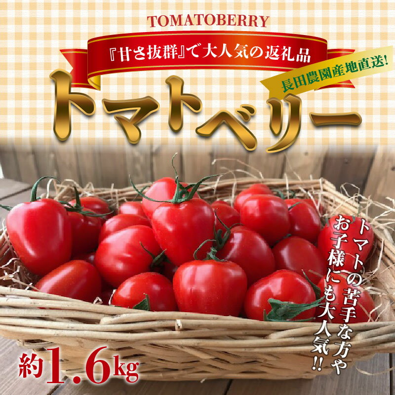 【ふるさと納税】【2026年度予約分】フルーツミニトマト 約1.6kg トマトベリー 甘さ抜群 国産 甘い 濃厚 幻 いちご型 野菜ソムリエサミット 金賞 受賞 皮が薄い 長田農園 産地直送 リコピン 野菜 フルーツ サラダ 濃厚 甘い 美容 健康 ランキング急上昇 送料無料 サムネイル3