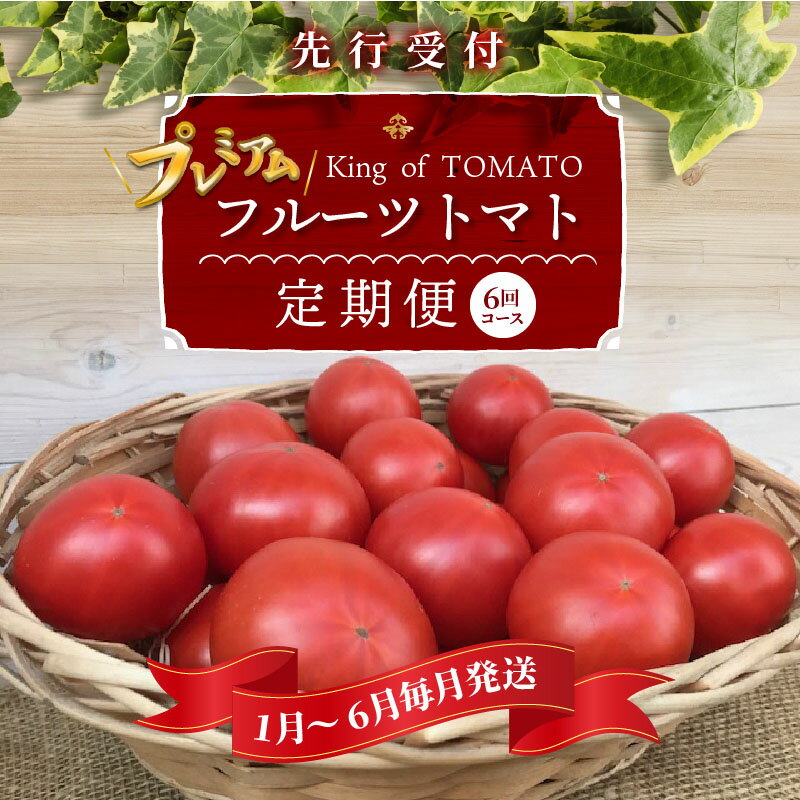 【ふるさと納税】プレミアムフルーツトマト 定期便 6回コース 1月〜6月 毎月発送 旬 生 トマト 美味しい 甘み 酸味 バランス こだわり 塩農法 リコピン 完全木熟 ハウス栽培 栄養 野菜生活 野菜 生鮮食品 食べ物 食品 送料無料 サムネイル2