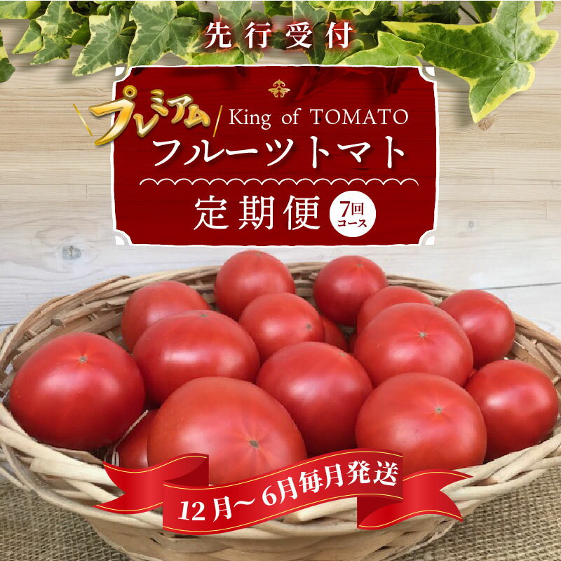 【ふるさと納税】ランキング1位 プレミアムフルーツトマト 定期便 約1.4kg 7回 12月 〜 6月 毎月発送 長田農園 産地直送 ご褒美 プレゼントにもぴったり 愛知県 碧南市 送料無料 サムネイル2