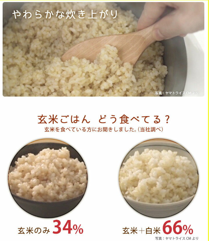 【ふるさと納税】やわらかい玄米 新潟県産コシヒカリ 900g×4袋　安心安全なヤマトライス お米 弁当 おにぎり 食品 食べ物 常温 お取り寄せ 送料無料 愛知県 碧南市 - 画像2