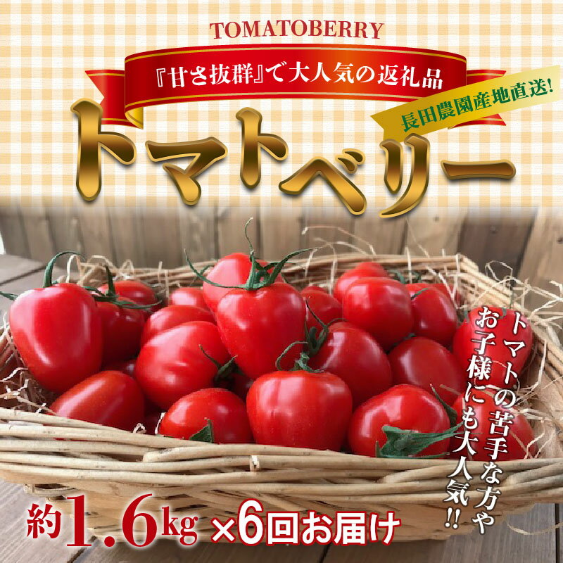 【ふるさと納税】1月〜6月 毎月発送 幻のミニトマト トマトベリーの定期便 6回コース ミニトマト 定期便 トマト 野菜ソムリエサミット 金賞 受賞 長田農園 産地直送 愛知県 碧南市 送料無料 サムネイル2