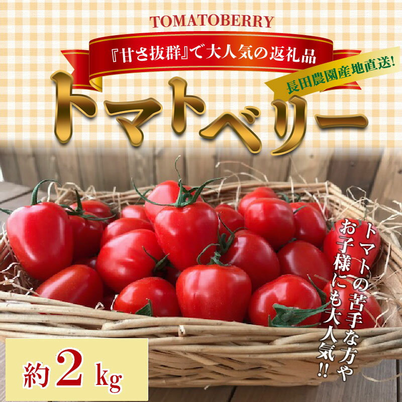 【ふるさと納税】フルーツミニトマト 約 2kg トマトベリー 産地直送 甘さ抜群 トマト苦手な方にもオススメ トマト 甘い 濃厚 幻 ミニトマト いちご型 肉厚 皮が薄い 野菜ソムリエサミット 金賞 受賞 長田農園 リコピン 野菜 やさい フルーツ サラダ 食品 お取り寄せ 送料無料 サムネイル2