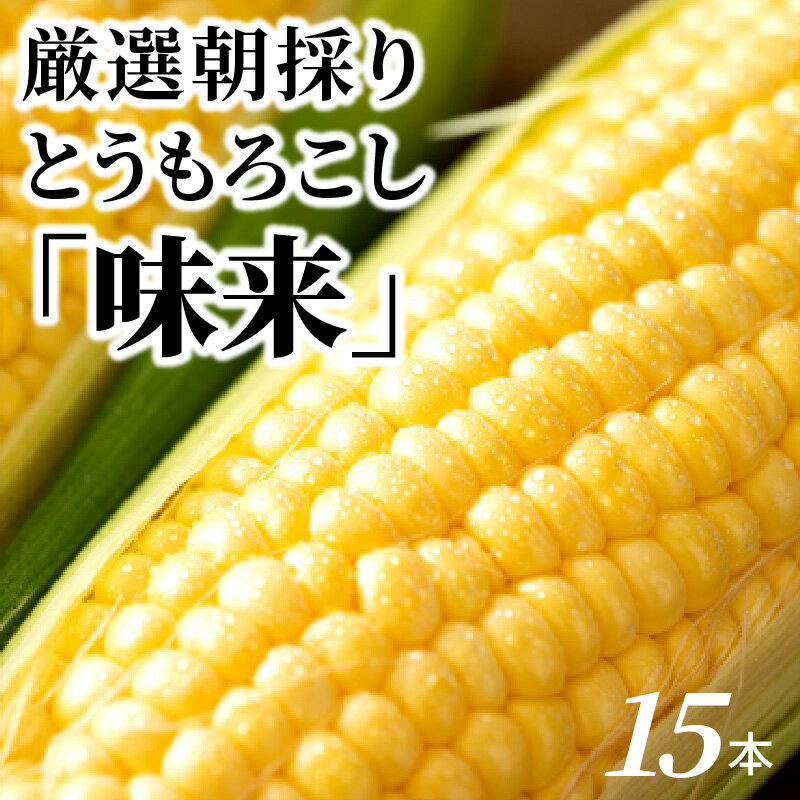 【ふるさと納税】厳選 朝採り とうもろこし スイートコーン 「味来」 15本 H017-092 - 画像2