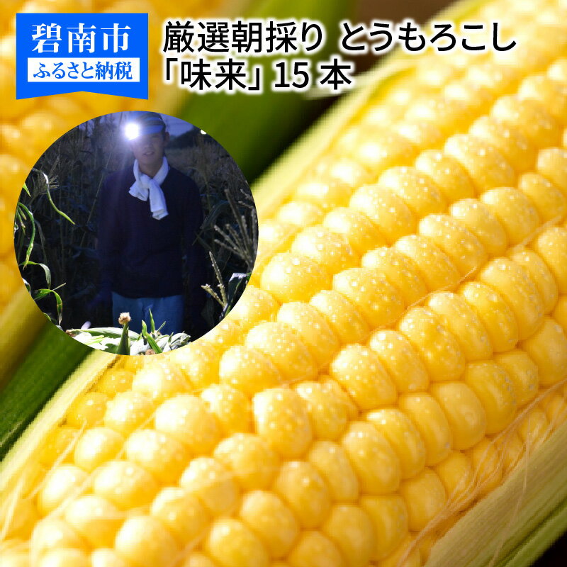 厳選 朝採り とうもろこし スイートコーン 「味来」 15本 H017-092