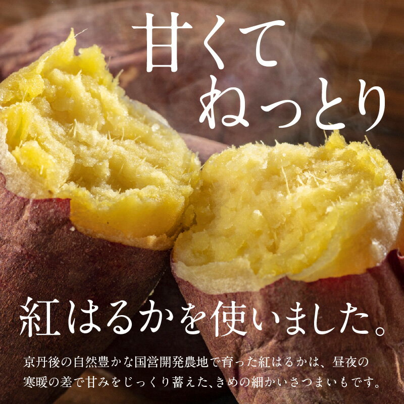 【ふるさと納税】【楽天限定】【小分け×2袋】丹後地域優秀産品受賞★ 乾物の京山城屋が挑戦する 京丹後産干しいも 100g×2袋　昔ながらの干芋 訳あり ではない 国産 紅はるか ほしいも 和菓子 さつまいも お菓子 スイーツ 生産者応援 農家応援 送料無料 保存食 サムネイル3