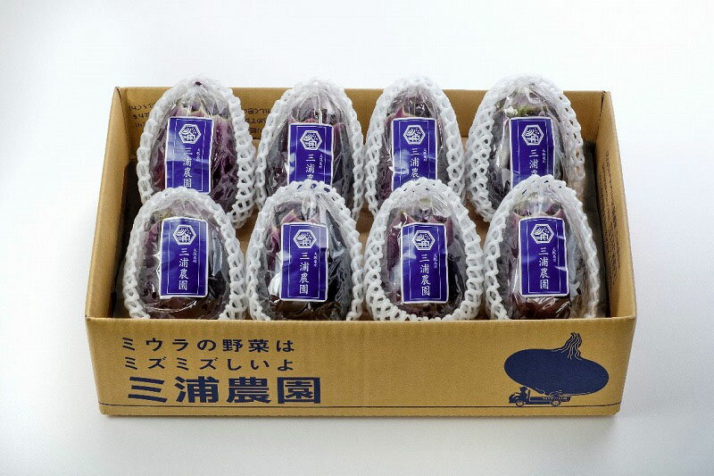 【ふるさと納税】Premium（プレミアム）水なすセット - 画像3