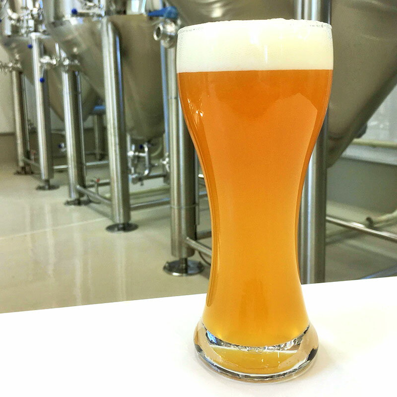 【ふるさと納税】クラフトビール KIX BEER ヴァイツェンボック 12本 セット ハイアルコール ビール 瓶ビール トロリとした口当たり フルーティーな味わい お酒 BBQ 宅飲み 晩酌 送料無料 泉佐野市 大阪府 関西国際空港 関空 サムネイル3