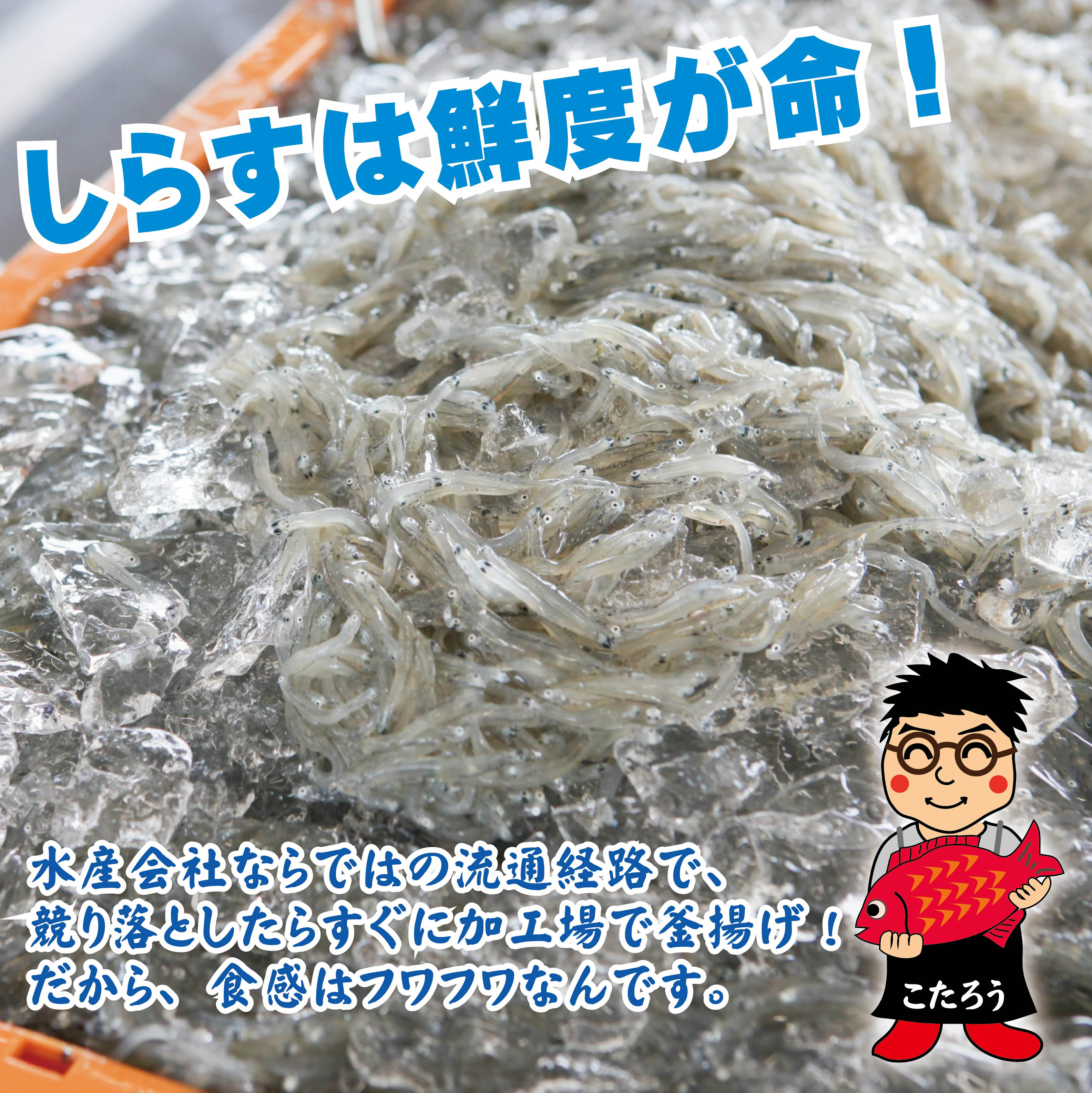 【ふるさと納税】釜揚げしらす 800g しらす 小分け 400g × 2P 国産 泉州産 海鮮 魚介類 ご飯のお供 おつまみ おかず しらす丼 冷凍 食品 水産会社直営 お取り寄せ お取り寄せグルメ 大阪府 泉佐野市 送料無料 サムネイル2