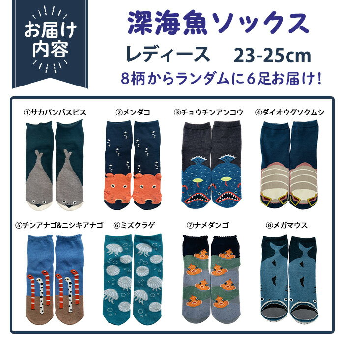 【ふるさと納税】レディース 深海魚ソックス(おまかせ6足セット) レディースソックス 靴下 深海魚ソックス 海の生き物 魚柄 動物柄 ソックス かわいい メンダコ チョウチンアンコウ チンアナゴ ミズクラゲ サカバンバスピス ナメダンゴ メガマウス 【m80-02】【アシスト】 サムネイル3