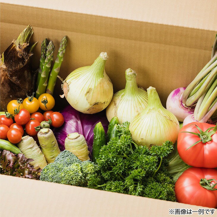 【ふるさと納税】　【美菜恋来屋】ほんまもん淡路島野菜BOX（大） - 画像2