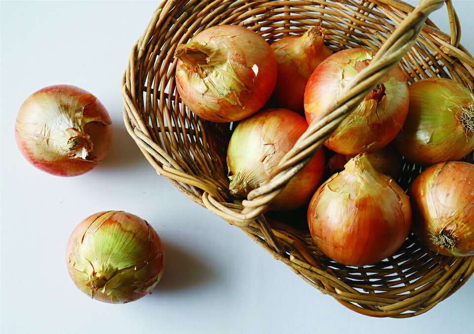 ケルリッチオニオン島美人　◆配送2026年7月下旬～