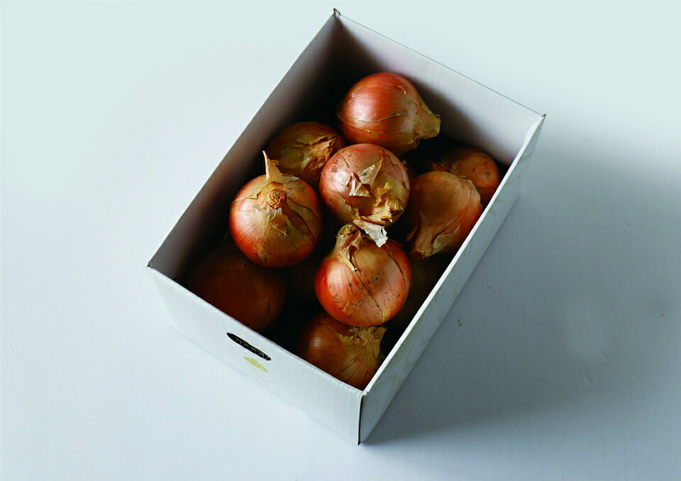 【ふるさと納税】ケルリッチオニオン島美人　◆配送2026年7月下旬～ - 画像2