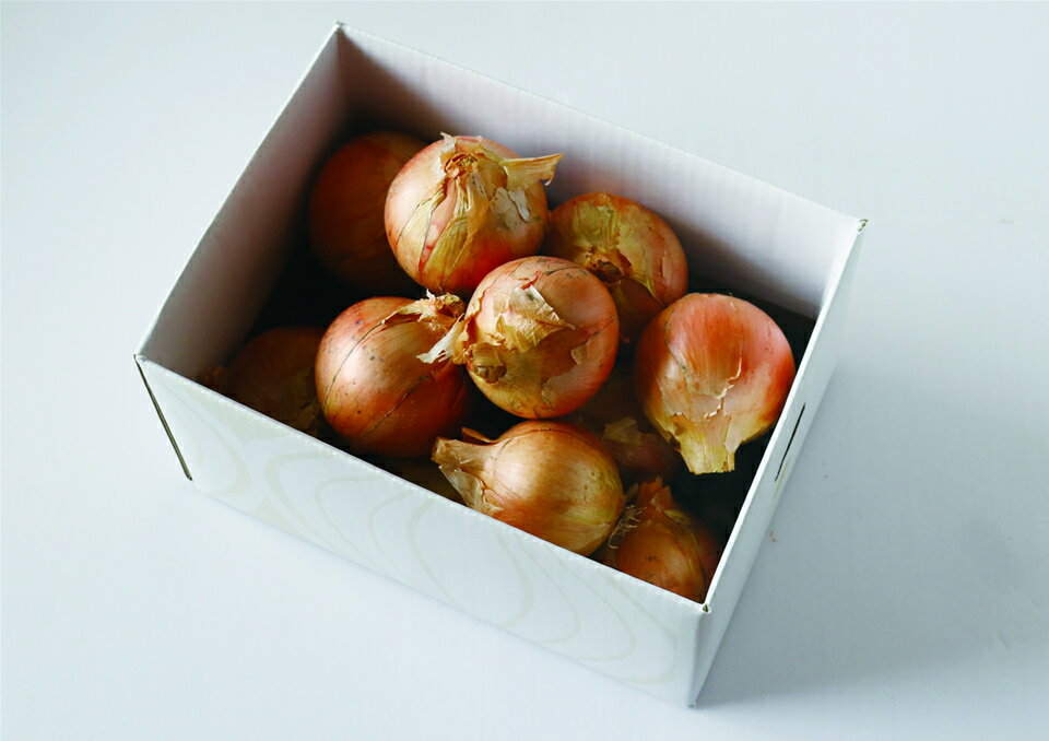 【ふるさと納税】ケルリッチオニオン島美人　◆配送2026年7月下旬～ - 画像3