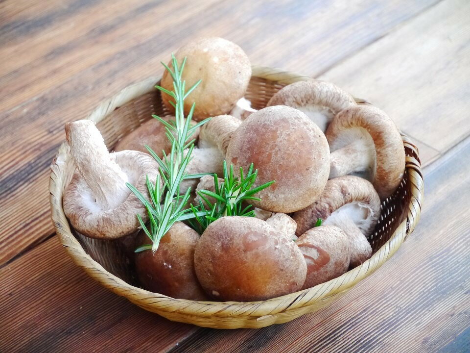 【ふるさと納税】淡路島産の菌床生椎茸（しいたけ） - 画像3