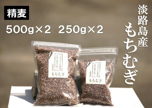 【マルジンファーム】淡路島 南あわじ産　もちむぎ（ダイシモチ）　1.5kg