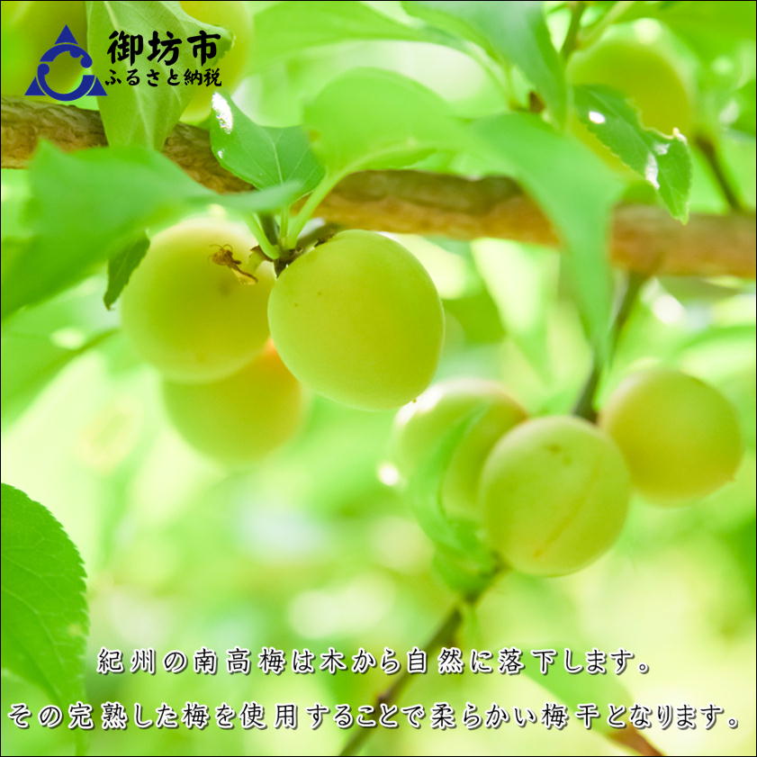 【ふるさと納税】白山農園　梅博士のDR.UME(登録商標） サムネイル2