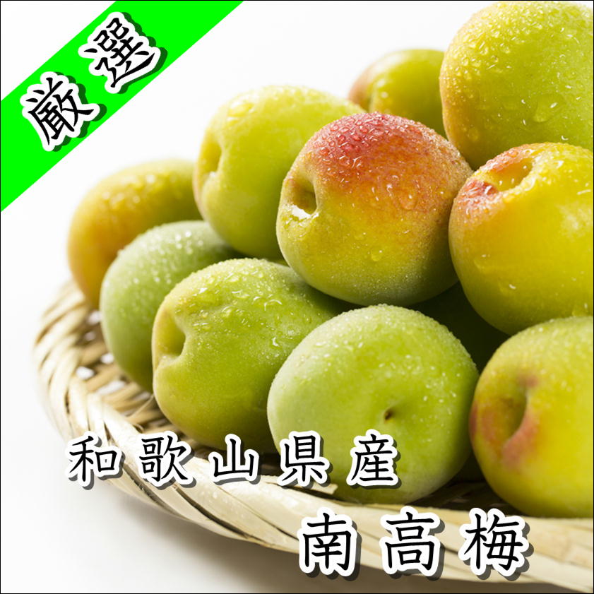 【ふるさと納税】白山農園　梅博士のDR.UME(登録商標） サムネイル3