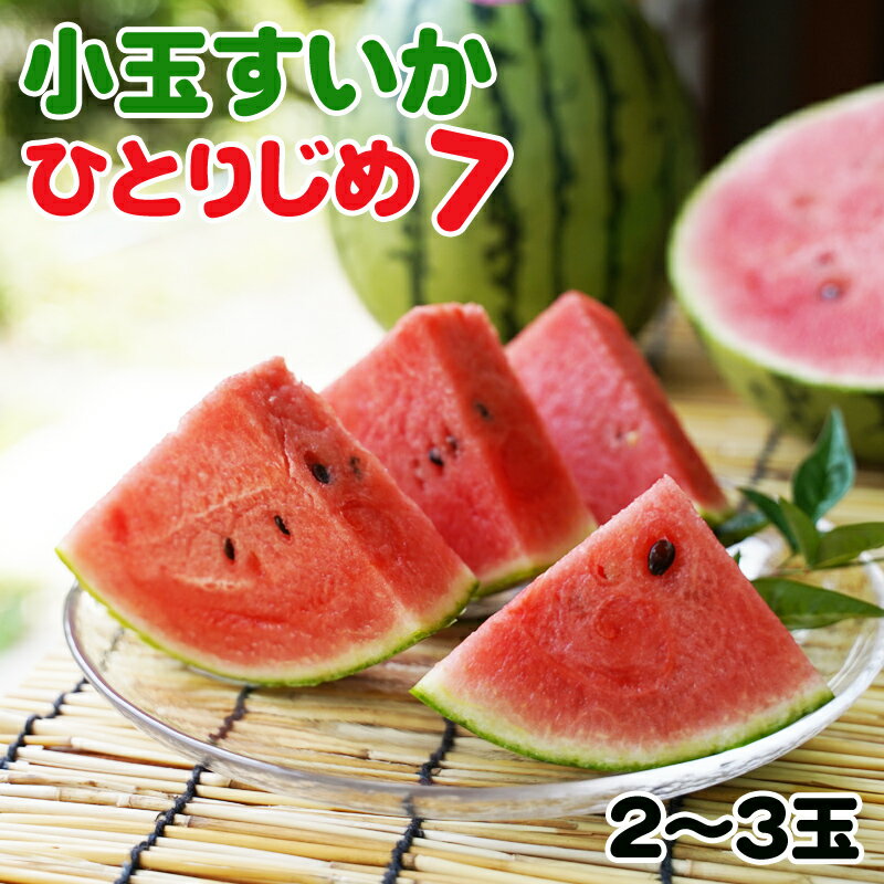 《冷蔵庫にそのまま入るサイズ》和歌山産小玉すいか ひとりじめ7(2〜3玉) ふるさと納税 スイカ ふるさと納税 すいか ふるさと納税 小玉スイカ ふるさと納税 果物 ふるさと納税くだもの ふるさと納税フルーツ 送料無料