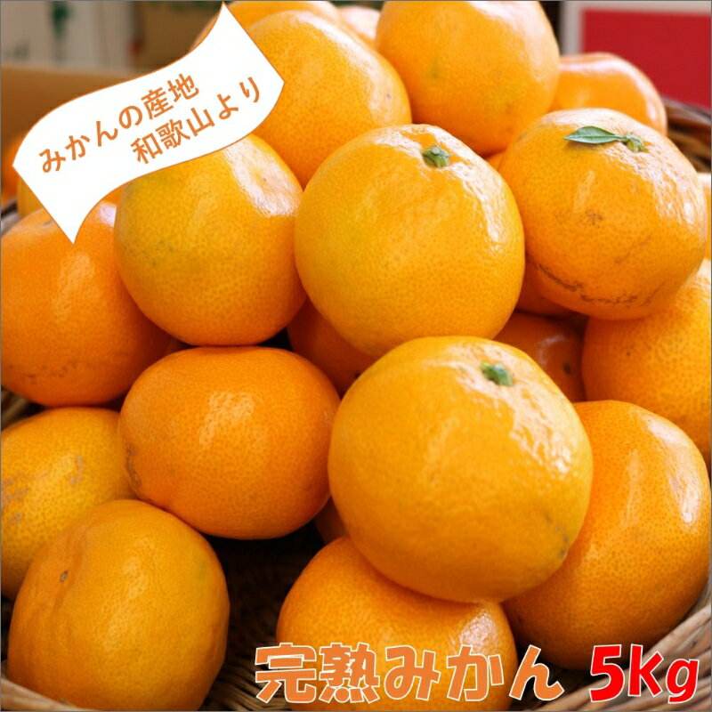 和歌山の完熟みかん5kg 紀州日高地方からお届けします!《先行予約》みかん 予約 先行予約 ミカン 温州みかん 和歌山 人気 ダントツ 甘い 果物 フルーツ 送料無料