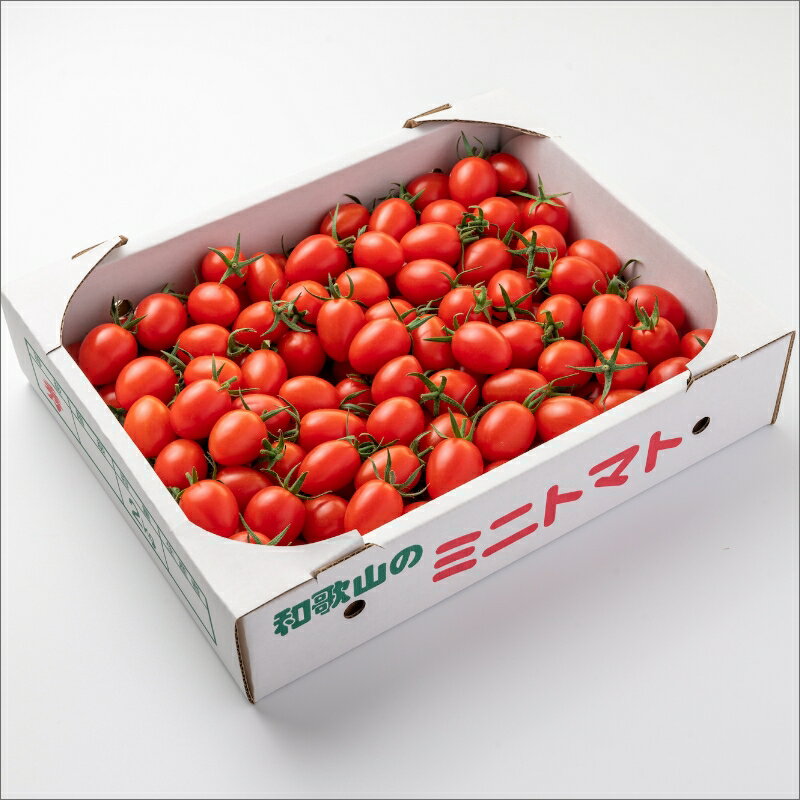 【ふるさと納税】完熟ミニトマト（アイコ） - 画像3