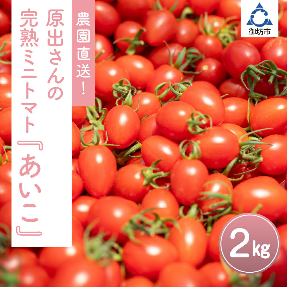 農園直送！原出さんの完熟ミニトマト（あいこ）