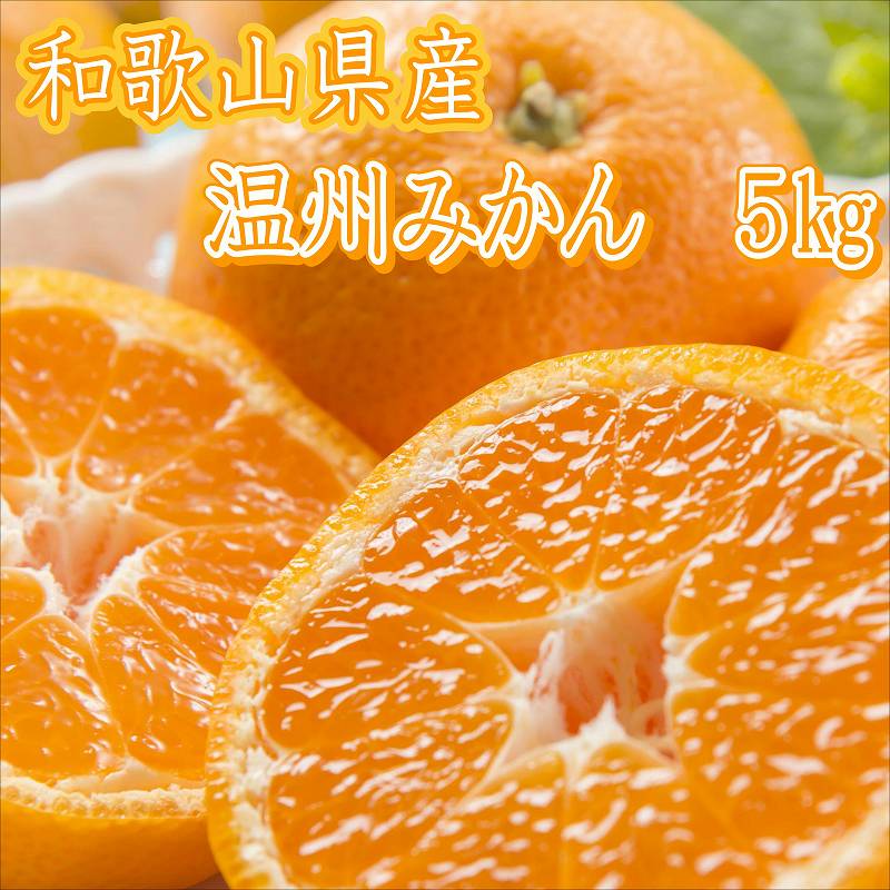 和歌山県産　温州みかん（5kg）≪先行予約≫
