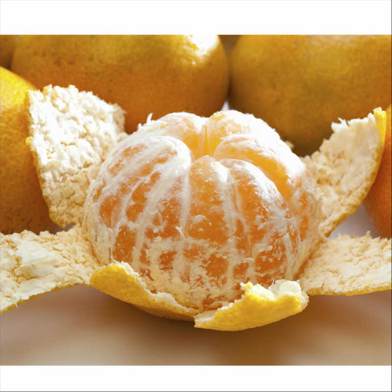 【ふるさと納税】和歌山県産　温州みかん（5kg）≪先行予約≫ サムネイル3