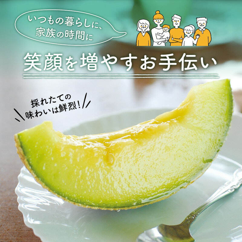 【ふるさと納税】農園自慢の『マスクメロン』(アールスメロン)特大玉×2玉入り《先行予約》2026年6月下旬から順次発送【配送不可地域：北海道・青森・秋田・岩手・沖縄・離島】 サムネイル3