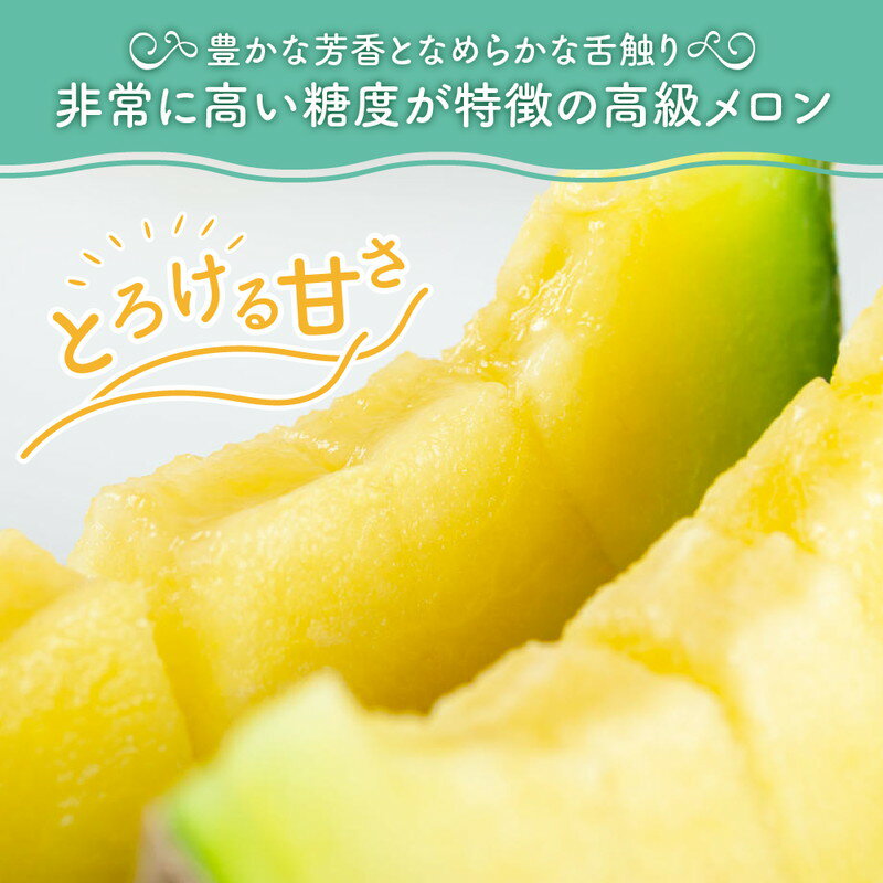 【ふるさと納税】農園自慢の「マスクメロン」大玉×3玉入り《先行予約》2026年6月下旬から順次発送【配送不可地域：北海道 ・青森・秋田・岩手・沖縄・離島】ふるさと納税 メロン ふるさと納税 マスクメロン ふるさと納税 先行予約 フルーツ くだもの 果物 サムネイル2