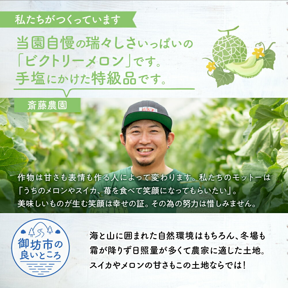 【ふるさと納税】斎藤農園ブランド「ビクトリーメロン」アールスメロン(マスクメロン) 1玉1.5kg程度 2玉 3kg程度≪先行予約2026年6月下旬以降発送分≫【配送不可地域：北海道・青森・秋田・岩手・沖縄・離島】高級 極上 果物 フルーツ 産地直送 プレゼント 和歌山県産 御坊産 サムネイル3