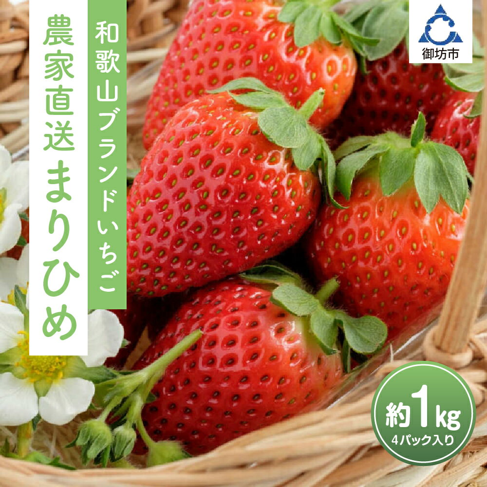 まりひめ4パック入り1kg「和歌山ブランドいちご」農家直送《先行予約》【配送不可地域：北海道・青森・秋田・岩手・沖縄】 いちご 苺 イチゴ フルーツ くだもの 果物 旬 パック 送料無料 ふるさと納税 いちご 予約 先行予約 発送時期が選べる