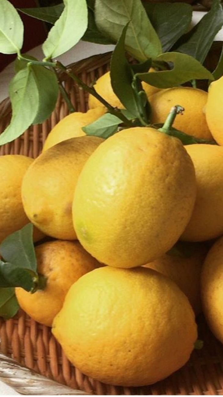 【ふるさと納税】国産有田レモン約5kg【訳あり 家庭用】【国産 レモン 柑橘 フルーツ 和歌山】 サムネイル2