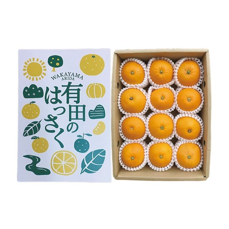 【ふるさと納税】【限定】【2026年先行予約】 和歌山県産 有田の 八朔 (はっさく) 化粧箱入り Lサイズ 12個入り【まごころ手選別】【はっさく ハッサク 八朔 和歌山産 ギフト 贈答】 サムネイル2