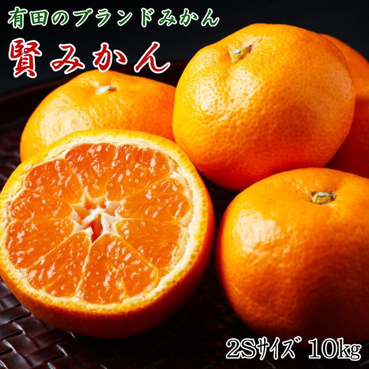 【2026年先行予約】 有田ブランド 賢みかん 10kg 2Sサイズ 秀品 有田みかん 温州みかん ブランドみかん みかん 柑橘 果物 果実 フルーツ デザート 濃厚 甘い 酸味 国産 お取り寄せ 和歌山厳選館 和歌山県 湯浅町 送料無料