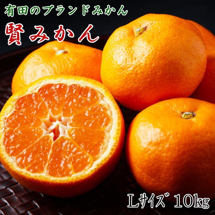 【2025年先行予約】 賢みかん 10kg Lサイズ 有田ブランド 秀品 ブランドみかん 温州みかん 有田みかん 濃厚 甘い 酸味 柑橘 フルーツ 果実 果物 食品 デザート 和歌山県 湯浅町 有田川町 送料無料