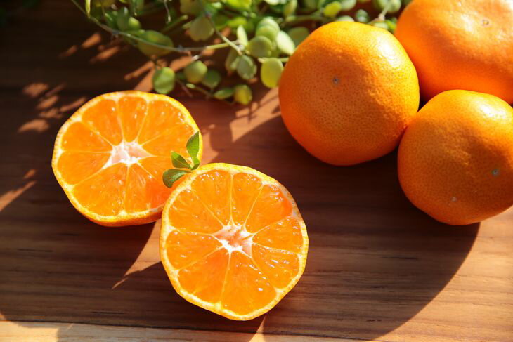 【限定】 主井農園 高級 松兵衛みかん 2.5kg (青秀 S～Lサイズおまかせ)【ミカン 蜜柑 柑橘 温州みかん 和歌山】